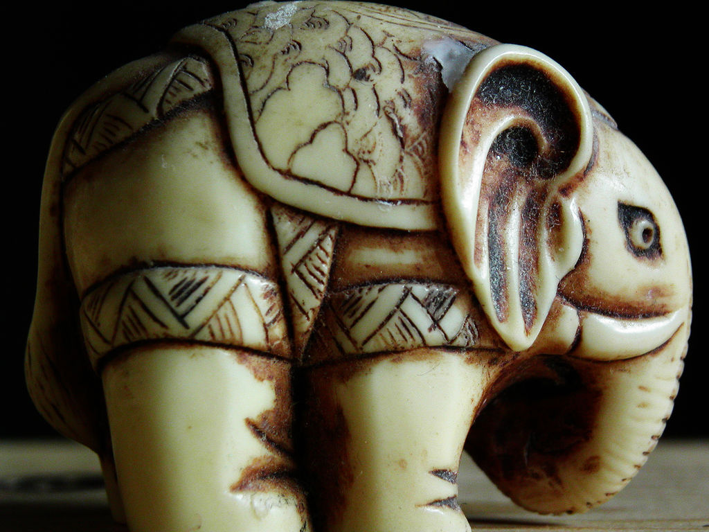 Filndisi-Ivory-Elephant-1