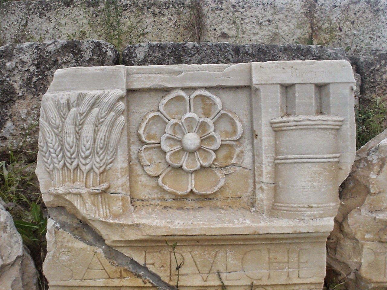 Ρόδακας - ένα αρχαίο ελληνικό σύμβολο